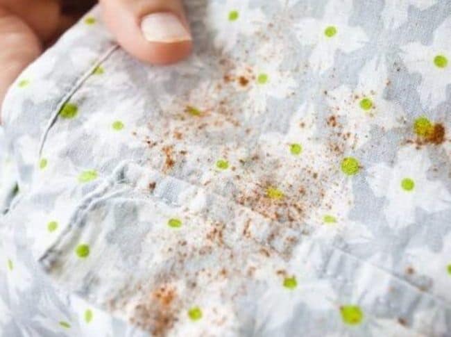 Если же носить одежду с появившеюся на ней плесенью, можно заболеть