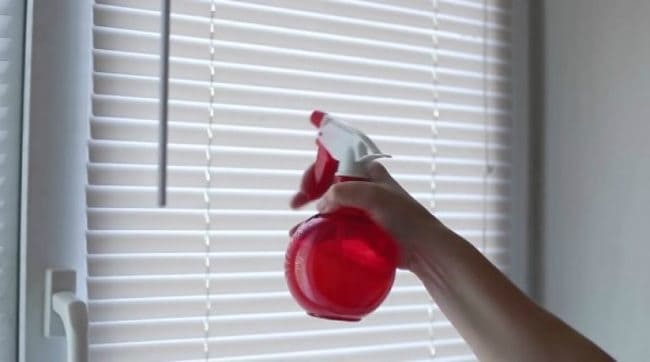 Для удобства перелейте мыльный раствор в пульвилизатор