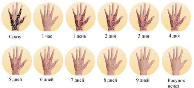 Как вымывается мехенди