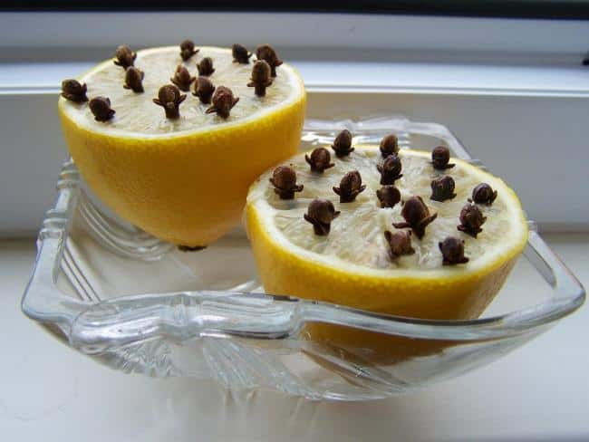 Мошки не переносят резкого аромата от такого сочетания