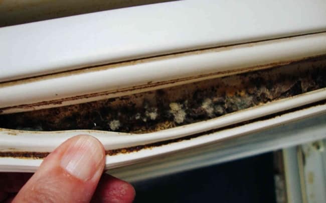 Не забывайте протирать все уплотнители в холодильнике