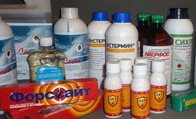 Производители отравы выпускают много вариантов с пометкой «эффективное средство»