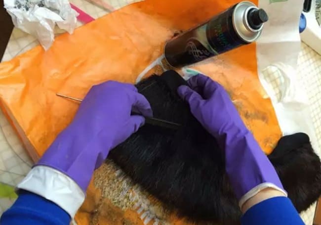 Распределяйте краску по всей длине