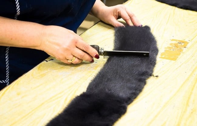 Регулярно расчесывайте мех