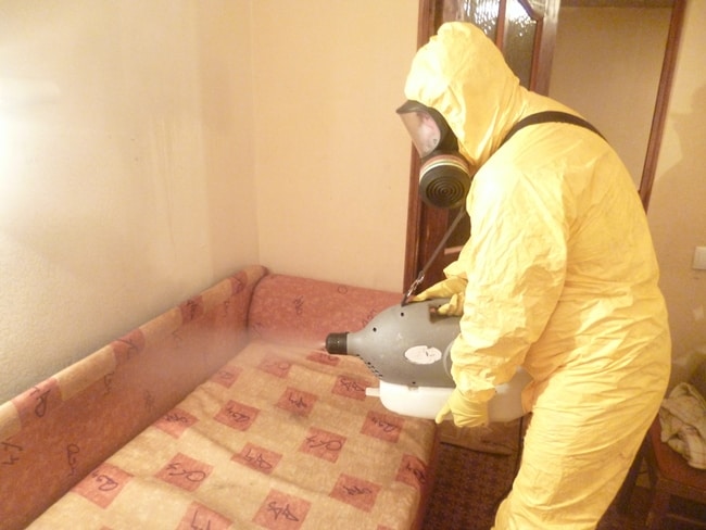 Время обработки занимает от 5–10 минут до нескольких часов