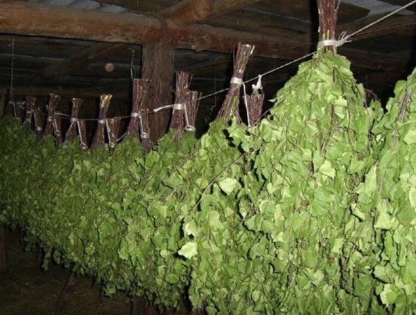 Выбирайте прохладные помещения