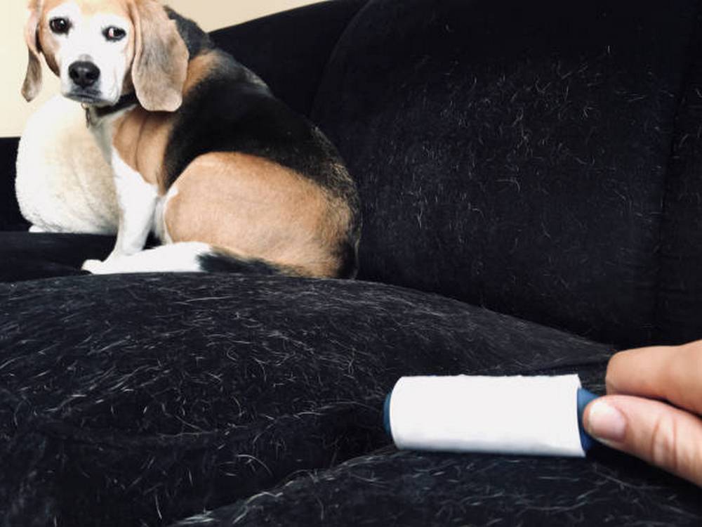 ролик для мягкой мебели