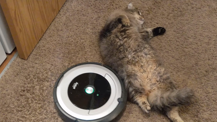 робот-пылесос в деле